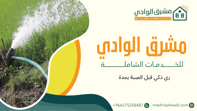 ري ذكي قبل الصبة بجدة