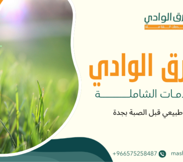 عشب طبيعي قبل الصبة بجدة