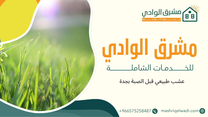 عشب طبيعي قبل الصبة بجدة