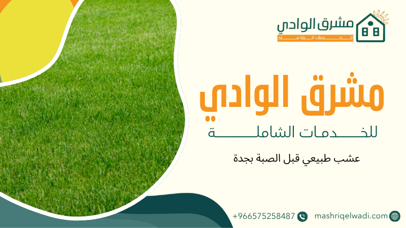 عشب طبيعي قبل الصبة بجدة