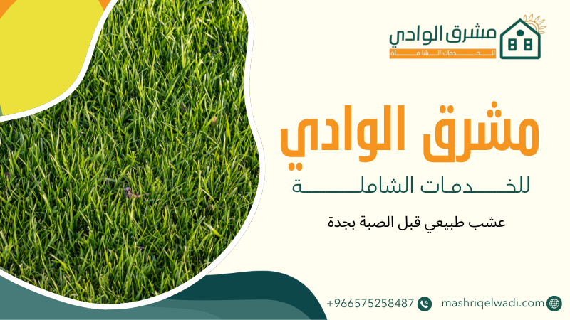 عشب طبيعي قبل الصبة بجدة
