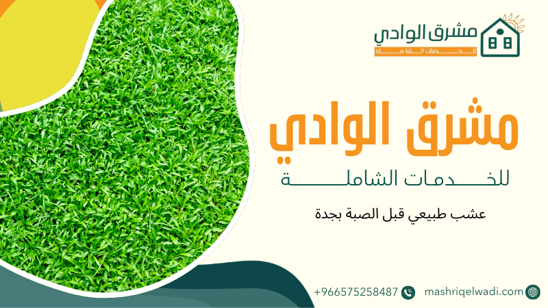 عشب طبيعي قبل الصبة بجدة