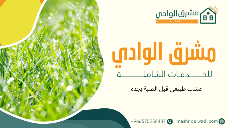 عشب طبيعي قبل الصبة بجدة