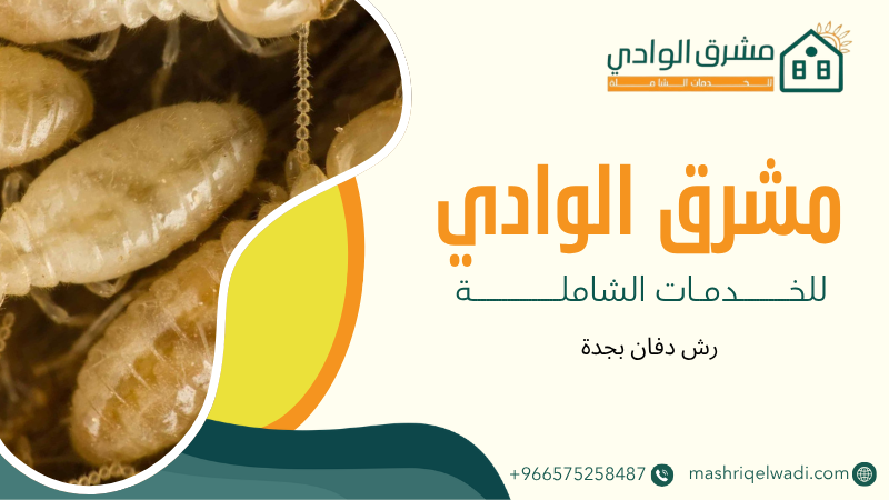 رش دفان بجدة