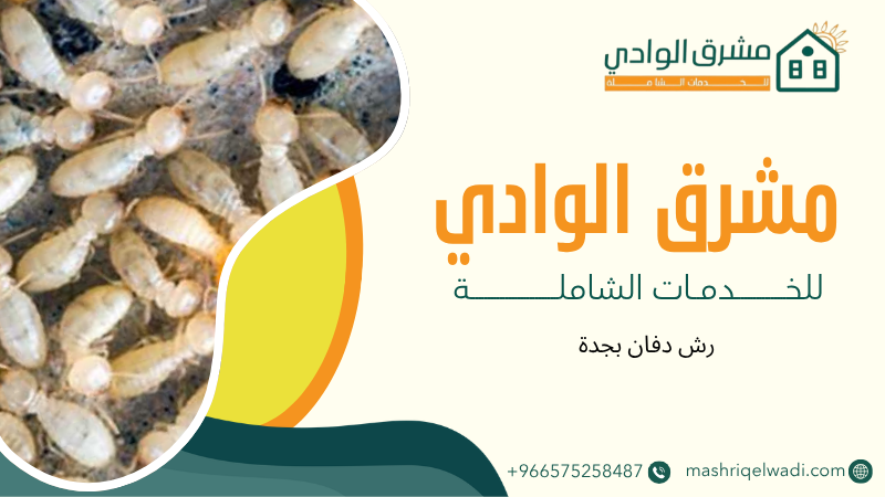 رش دفان بجدة