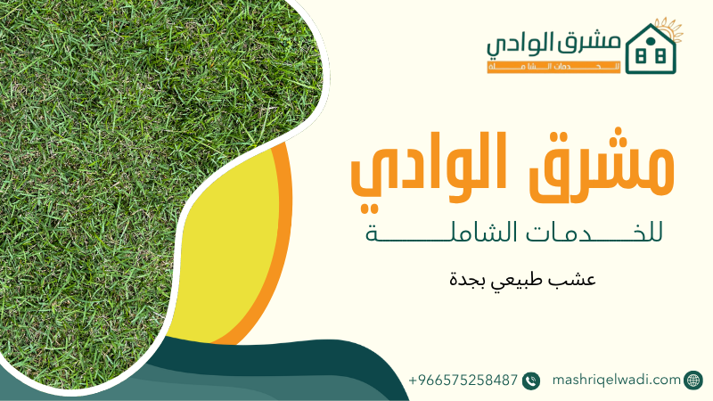 عشب طبيعي بجدة