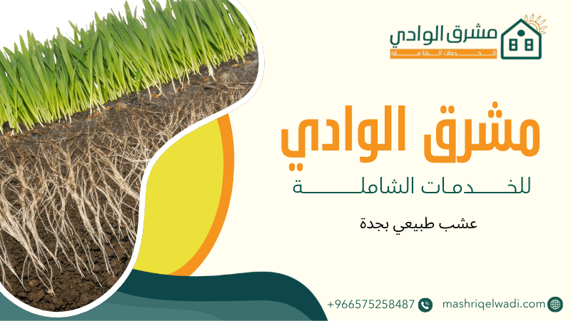عشب طبيعي بجدة
