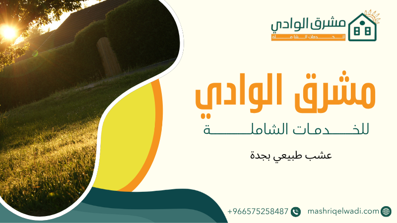 عشب طبيعي بجدة