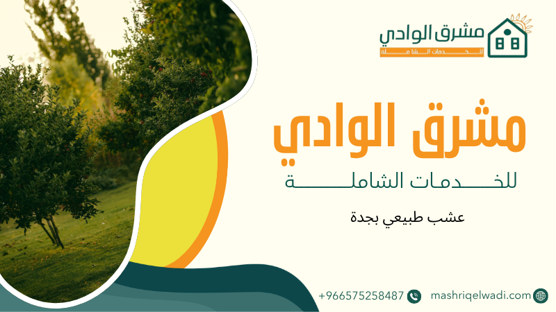 عشب طبيعي بجدة
