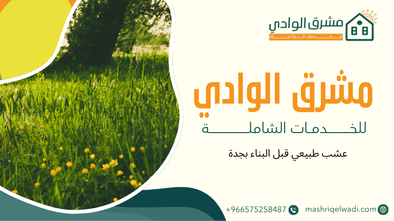 عشب طبيعي قبل البناء بجدة