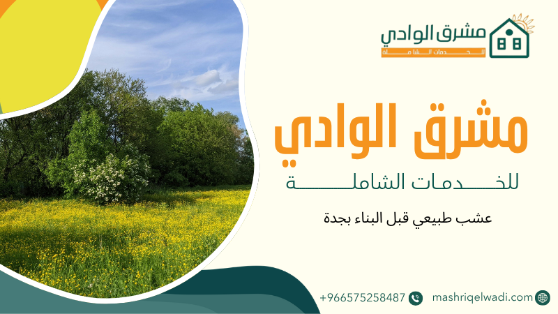 عشب طبيعي قبل البناء بجدة