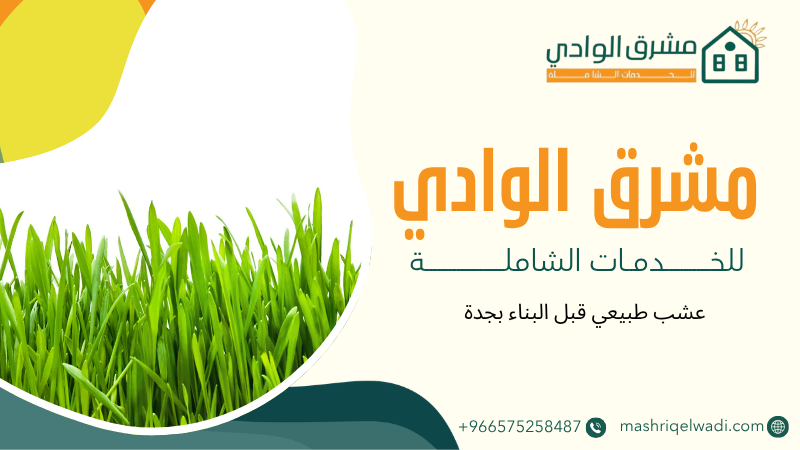 عشب طبيعي قبل البناء بجدة