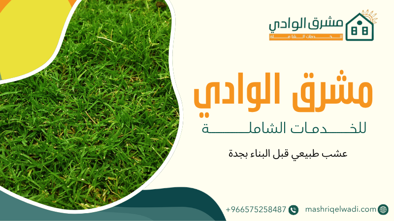 عشب طبيعي قبل البناء بجدة