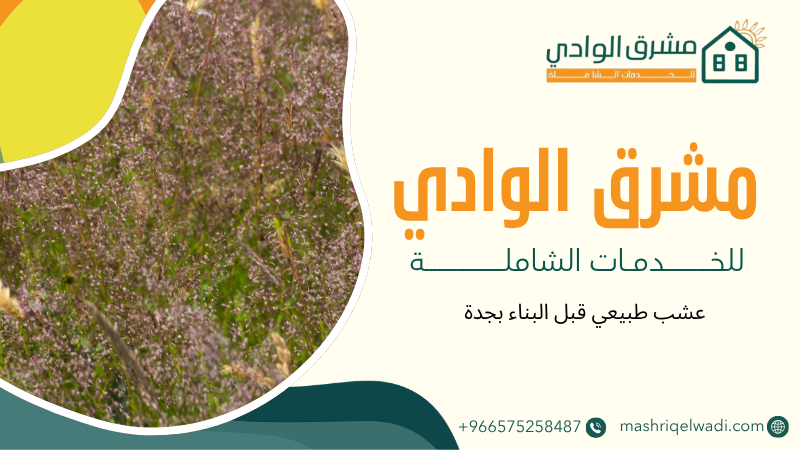 عشب طبيعي قبل البناء بجدة